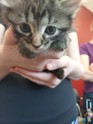 Learn More About Baby Zelda Baby Zelda