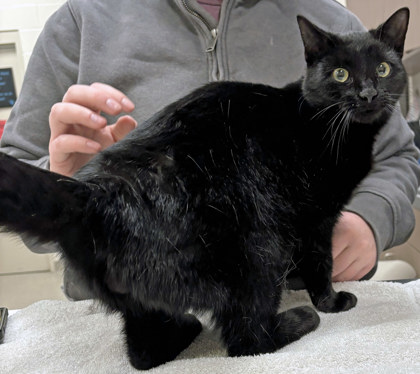 Learn More About Blizzard