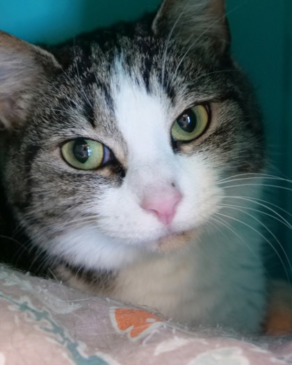 Learn More About Pearl Photo of Pearl