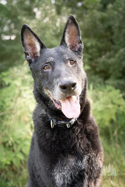Learn More About Grimm Photo of Grimm