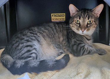 Learn More About Milton