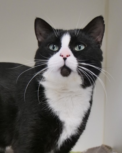 Learn More About Fizzy