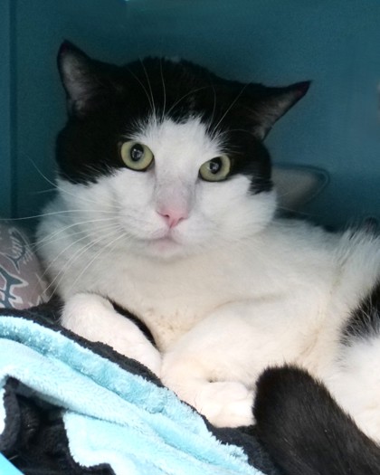 Learn More About Nike