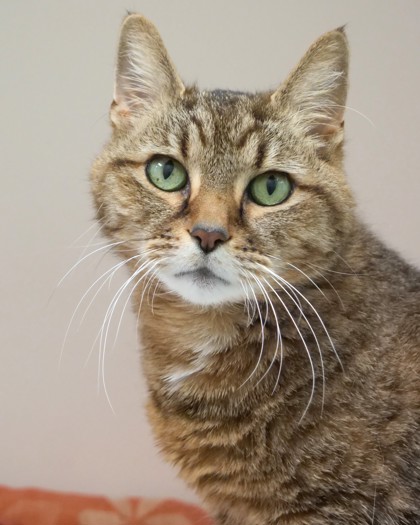 Learn More About Mona Photo of Mona