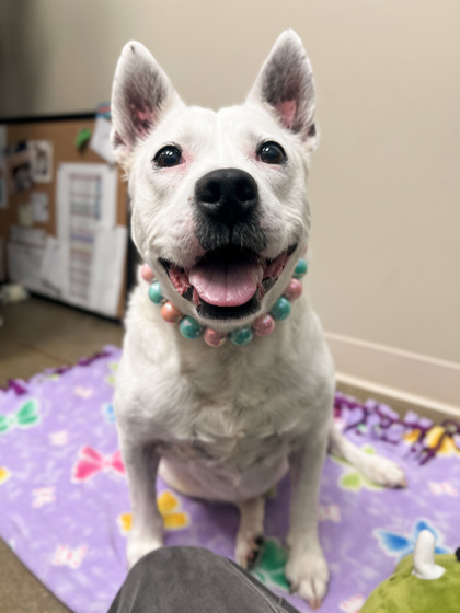 Photo of Sheila