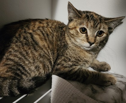 Learn More About Samantha