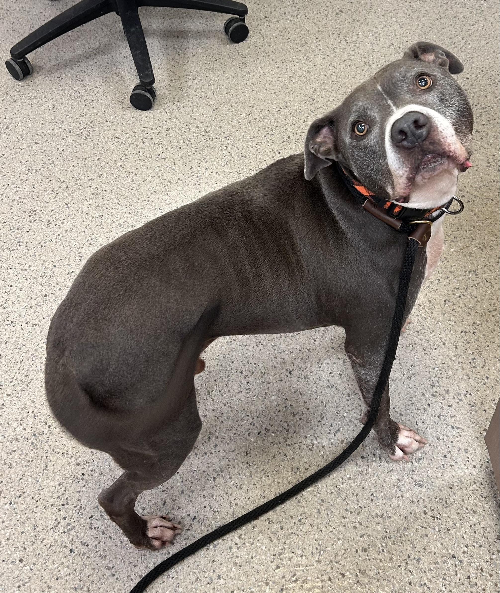 Learn More About Doc Photo of Doc