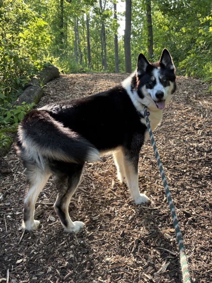 Photo of Samson Pete