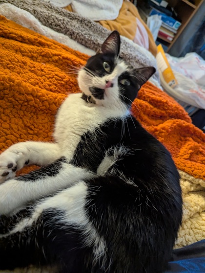 Learn More About 59540239