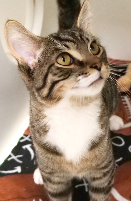Photo of Cozi Q