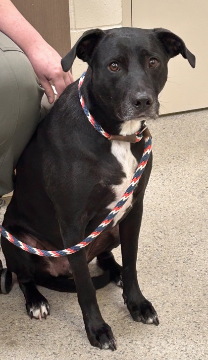 Learn More About Cody Photo of Cody