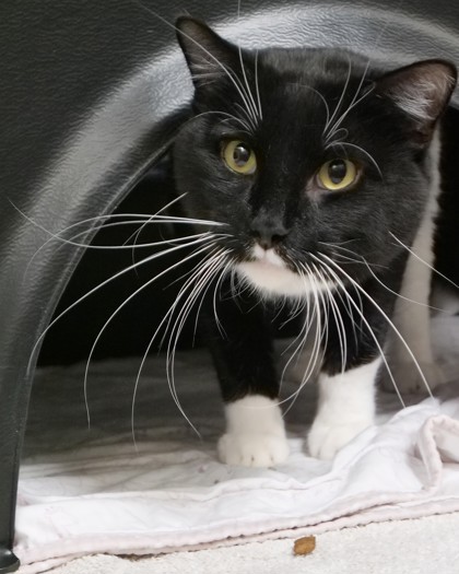 Learn More About Bubba Photo of Bubba