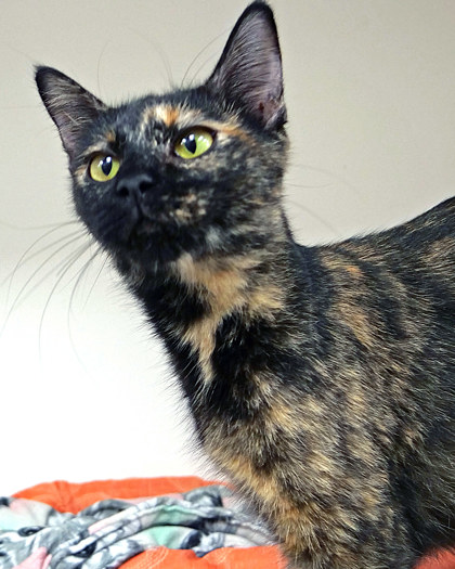 Photo of Etha