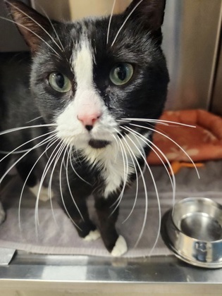 Learn More About Fizzy