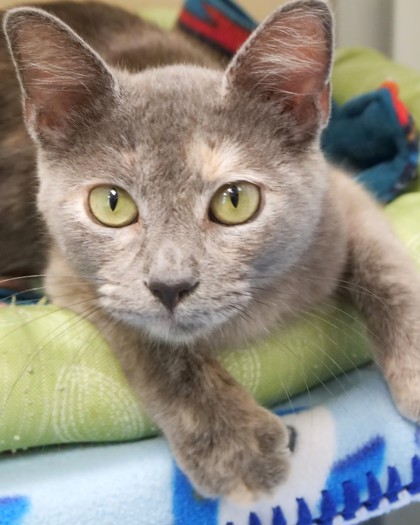 Photo of Aqua