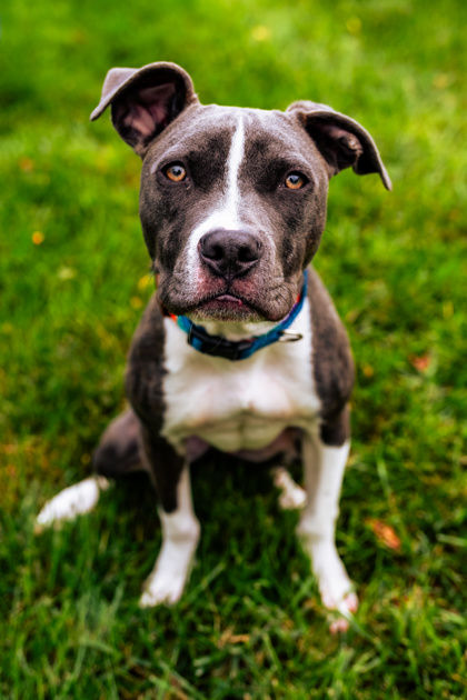 Learn More About Donny Photo of Donny
