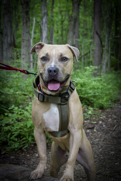 Learn More About Finch Finch