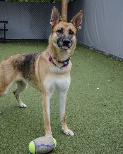 Learn More About Navi Photo of Navi