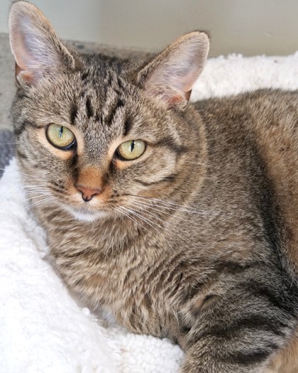 Learn More About Fergie Photo of Fergie