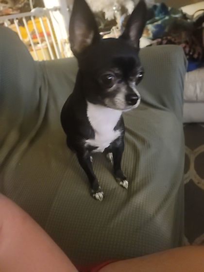 Learn More About Lady