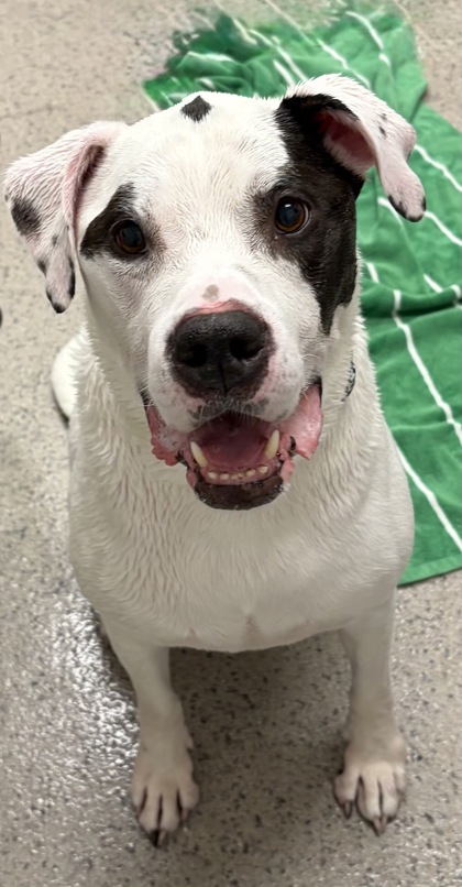 Learn More About Daxton Photo of Daxton