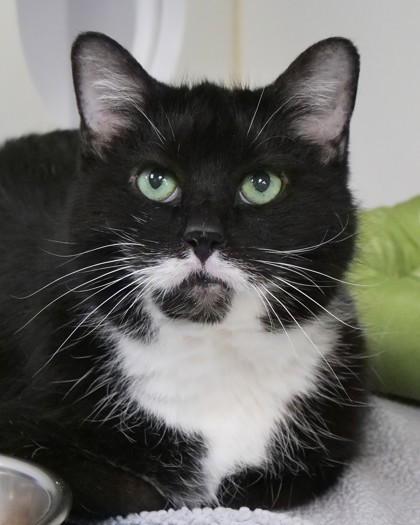 Learn More About Martha May Whovier (in Foster)