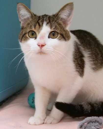 Learn More About Nigel Photo of Nigel