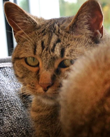 Photo of Fergie