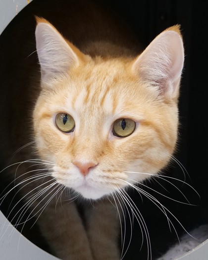 Learn More About Sammy Gene Photo of Sammy Gene