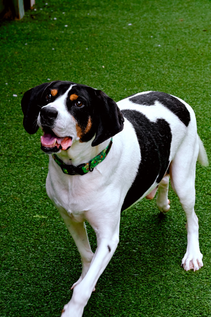 Photo of Quincy
