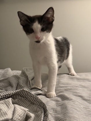 Photo of Freddy