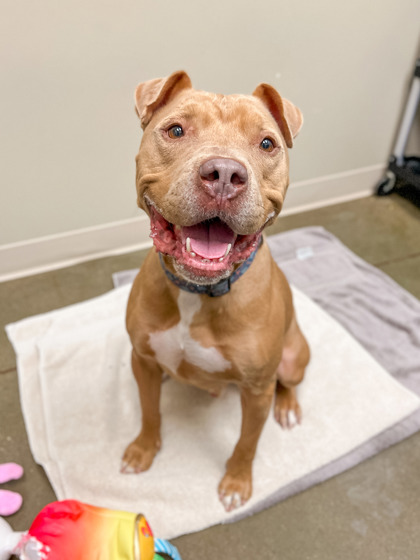Learn More About Riley Photo of Riley
