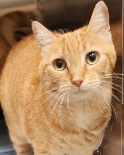 Learn More About Beesley Photo of Beesley