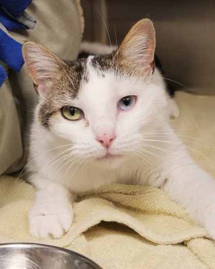 Learn More About Marley Marley