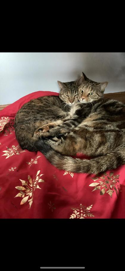 Learn More About Peanut Butter