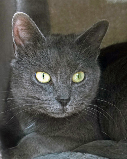 Photo of Aurora