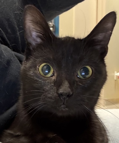 Learn More About Nyx Photo of Nyx