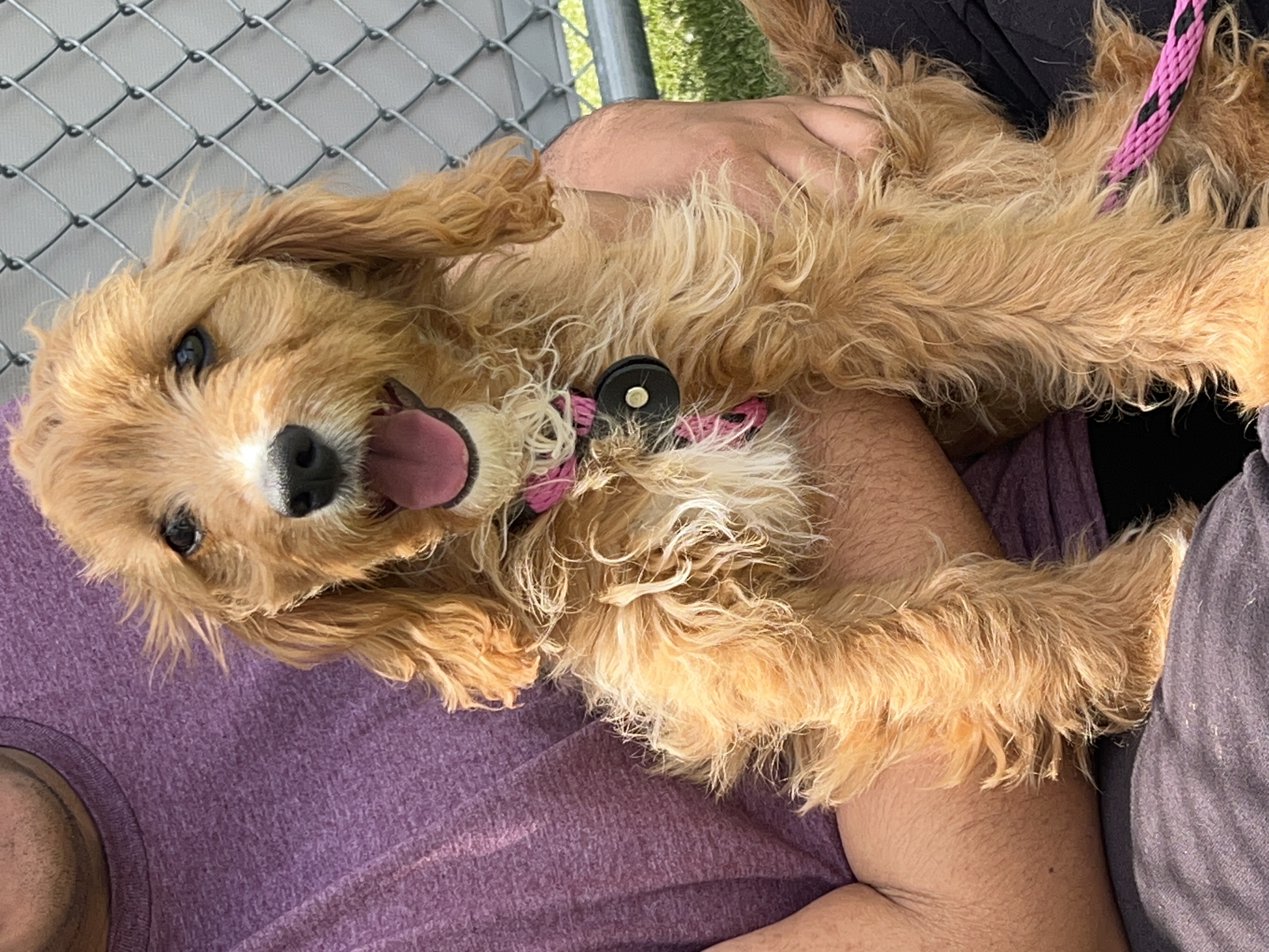 Photo of Benny