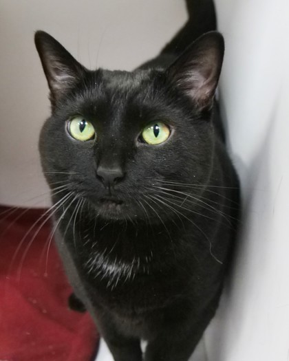 Learn More About Envy