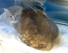 Learn More About Aaron