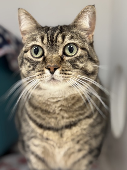 Learn More About Sweet Mama