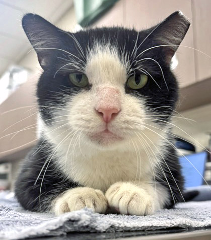 Learn More About Butch Photo of Butch