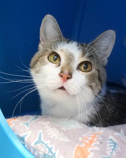 Learn More About Emma