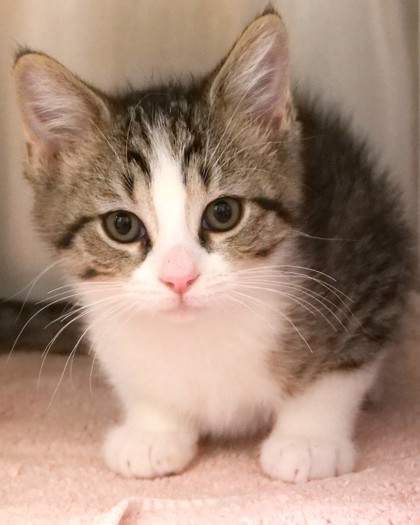 Learn More About Penny Penny