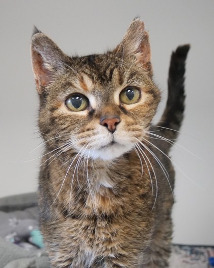 Learn More About Matilda