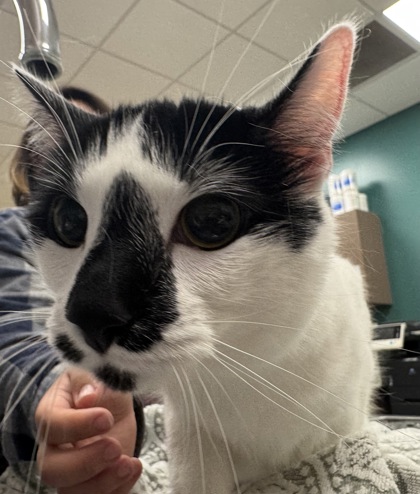 Learn More About Phebe