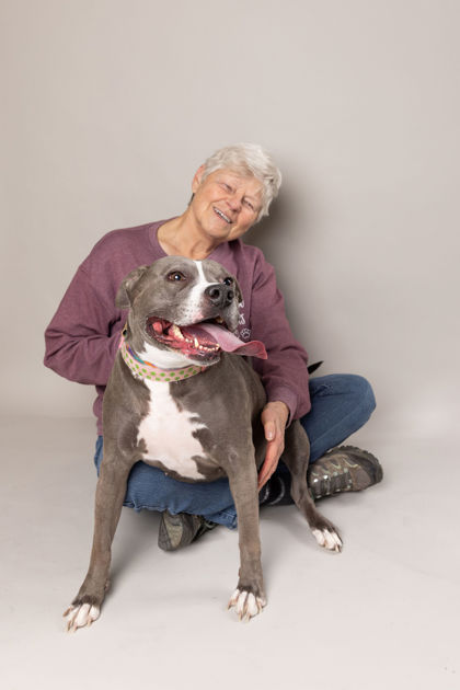 View Miss Sissy (in Foster) the Dog Photo #1