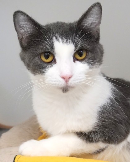 Learn More About Sullie Photo of Sullie