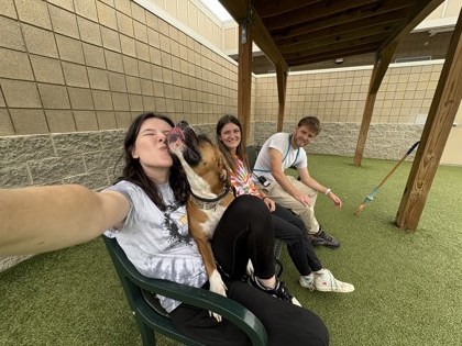 View Davinci the Dog Photo #2