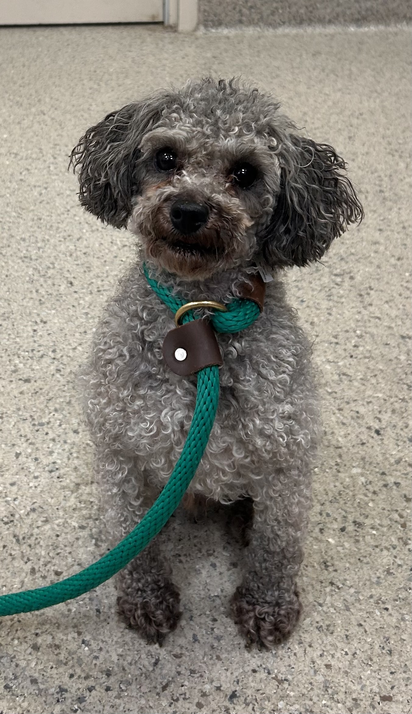 Photo of Smokey Joe